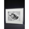 29,7 x 42 cm (A3) Nielsen Fotoramme Accent i Aluminium - Hvid