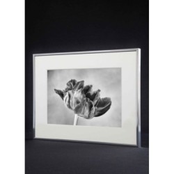 29,7 x 42 cm (A3) Nielsen Fotoramme Accent i Aluminium - Guld